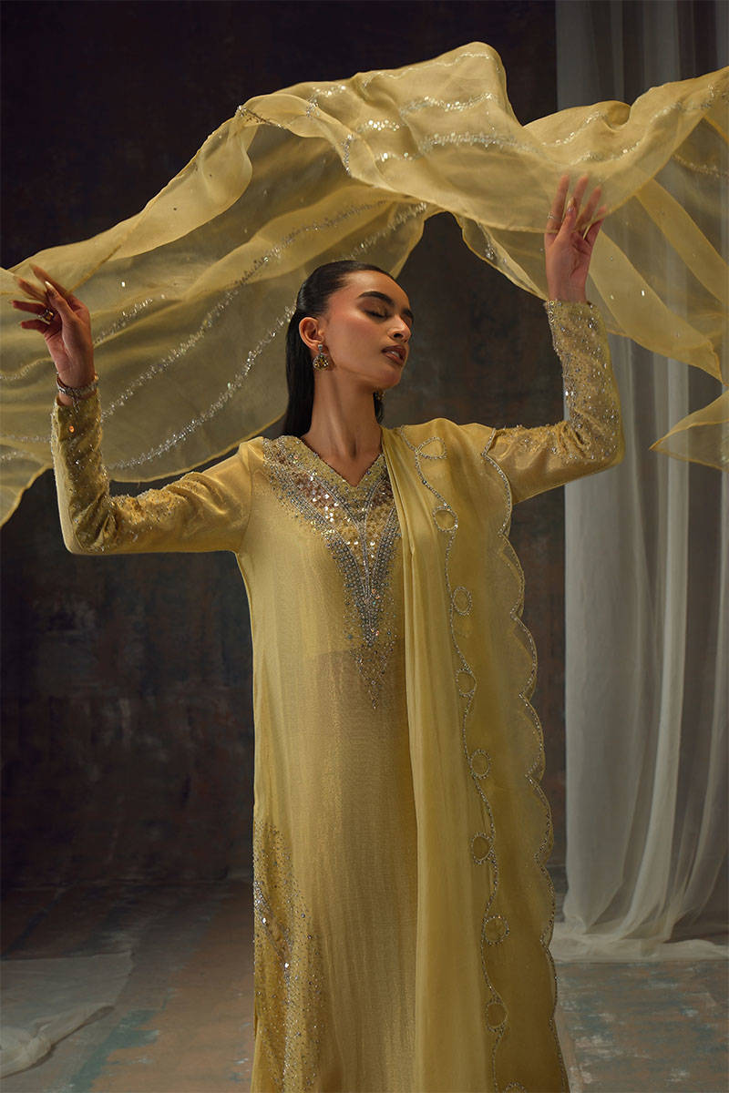 GOLD STARBURST | FARIDA HASAN
