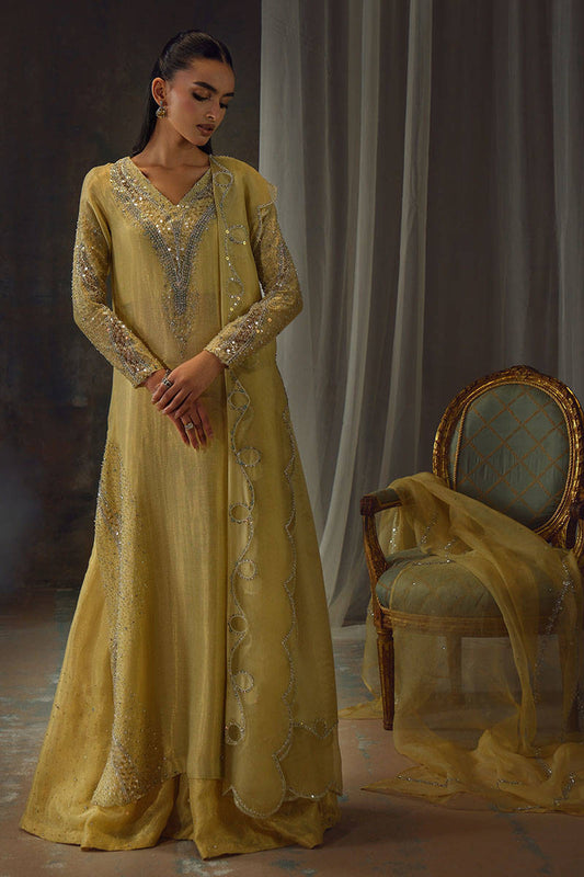 GOLD STARBURST | FARIDA HASAN
