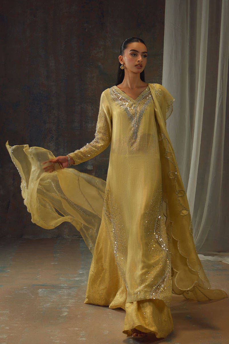 GOLD STARBURST | FARIDA HASAN