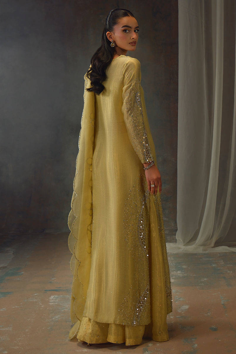 GOLD STARBURST | FARIDA HASAN