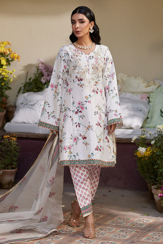 LORENA | Ansab Jahangir