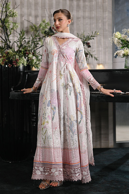 Claudine | Ansab Jahangir