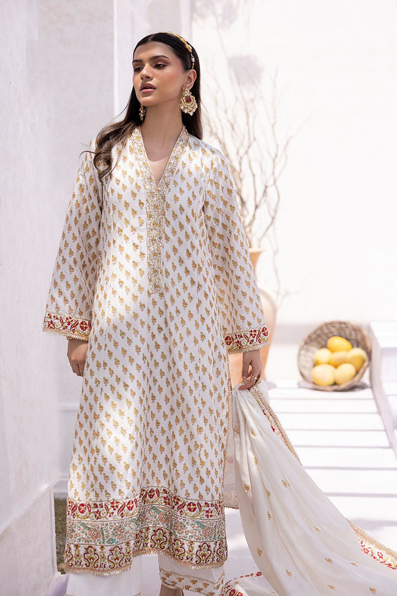 AREEBA | Ansab Jahangir