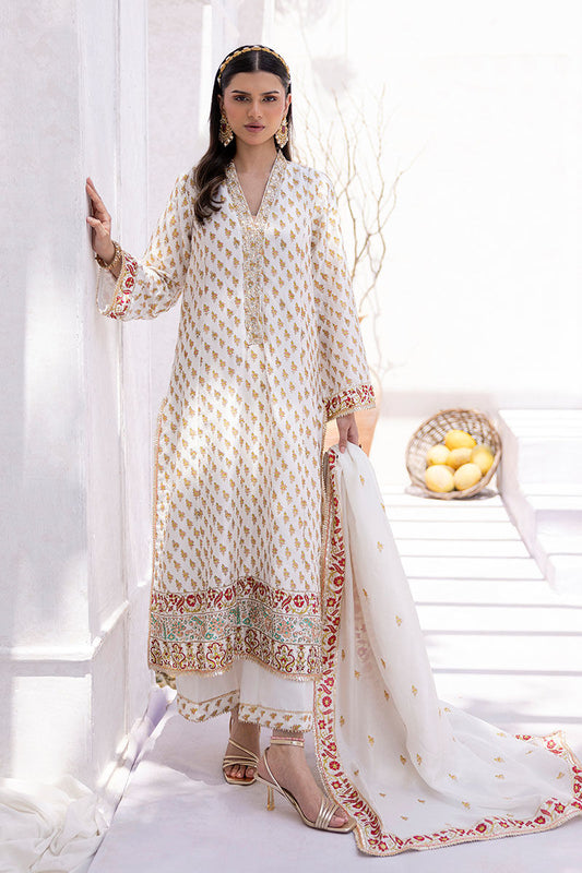 AREEBA | Ansab Jahangir