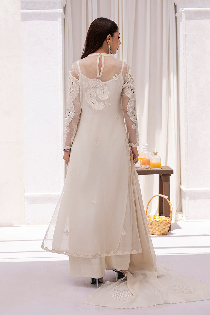IVY | Ansab Jahangir