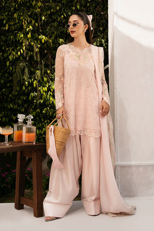 LANA | Ansab Jahangir