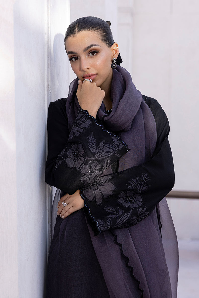 ELINA | Ansab Jahangir
