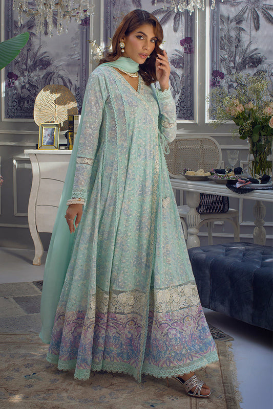 Niss | Ansab Jahangir