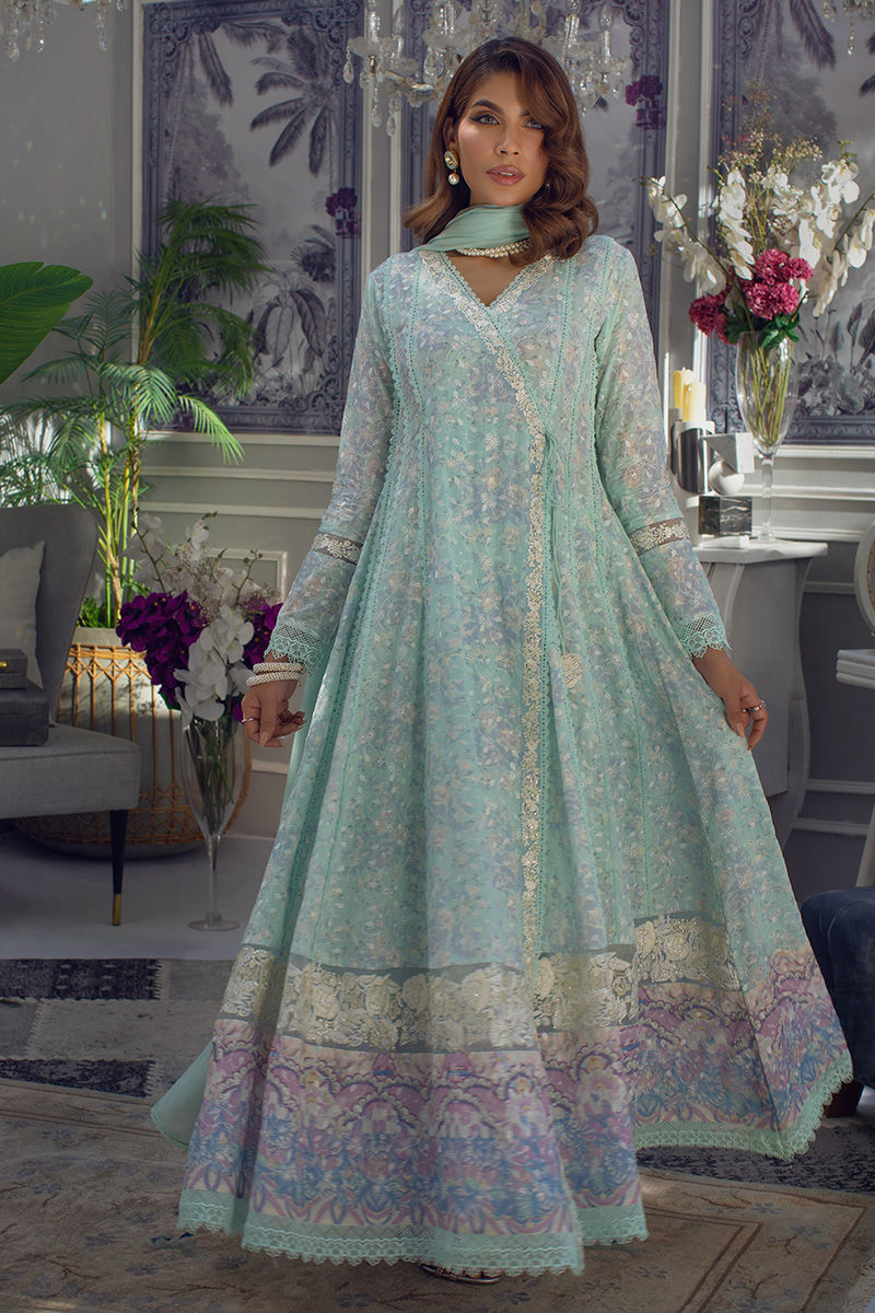 Niss | Ansab Jahangir