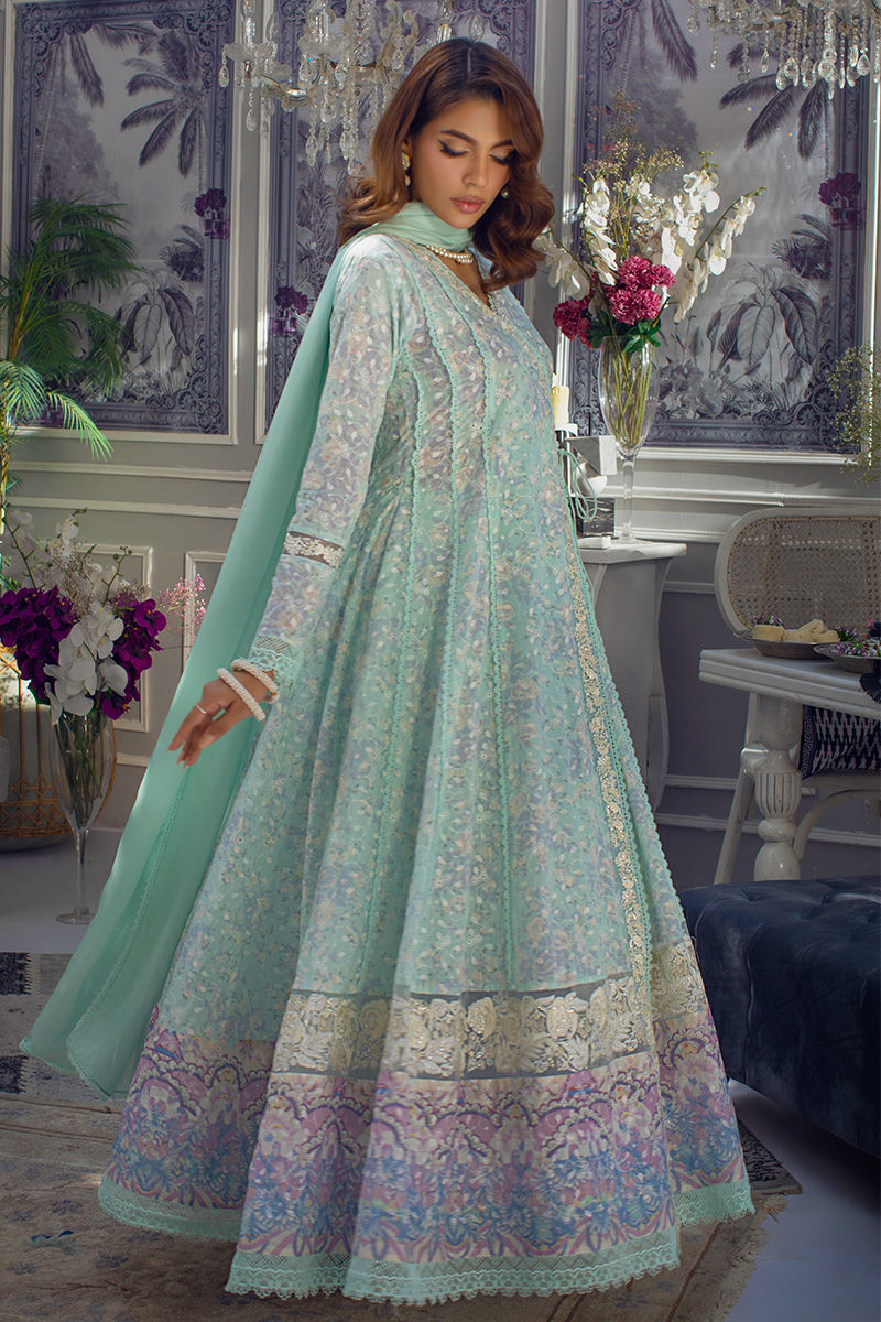 Niss | Ansab Jahangir