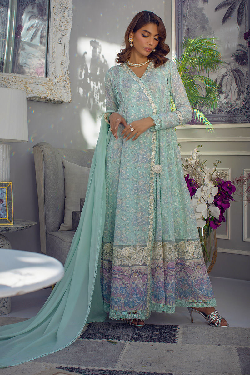 Niss | Ansab Jahangir