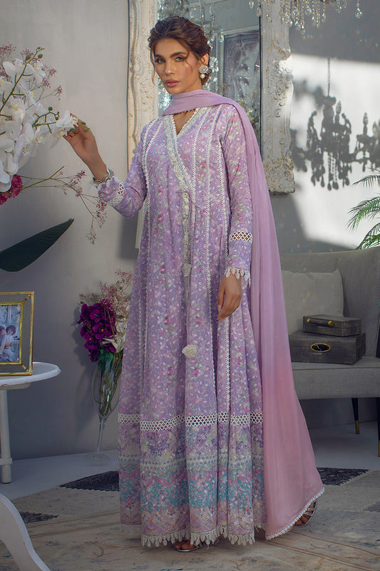 Shaz | Ansab Jahangir