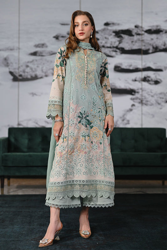 Clarence | Ansab Jahangir