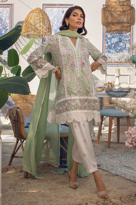 Mint Blossom | Ansab Jahangir