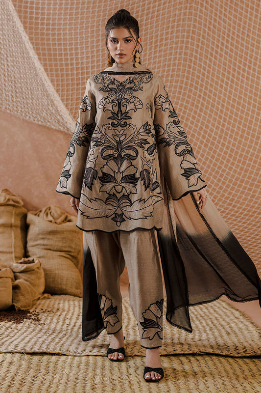 AMRISA | Ansab Jahangir