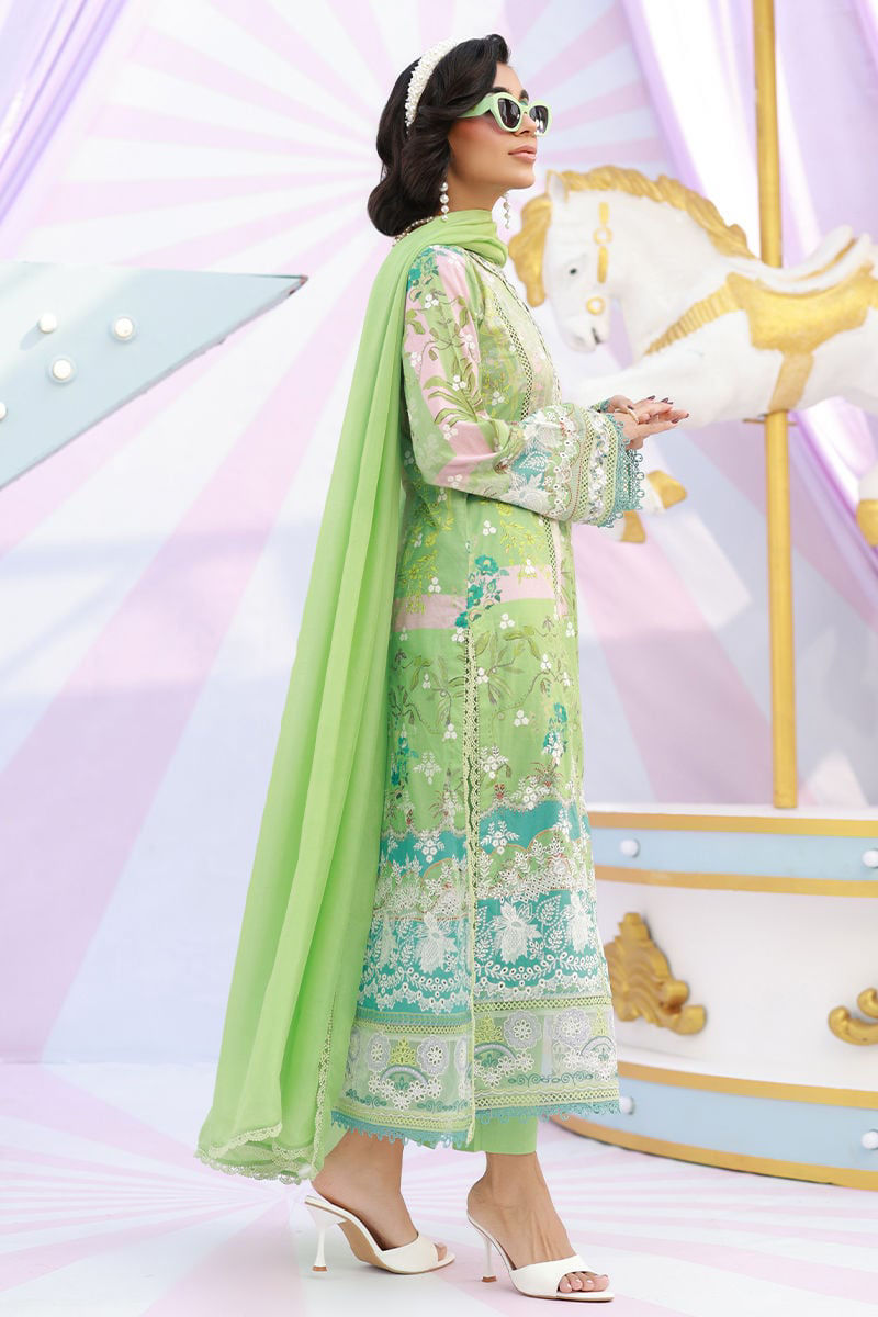 Jolly | Ansab Jahangir