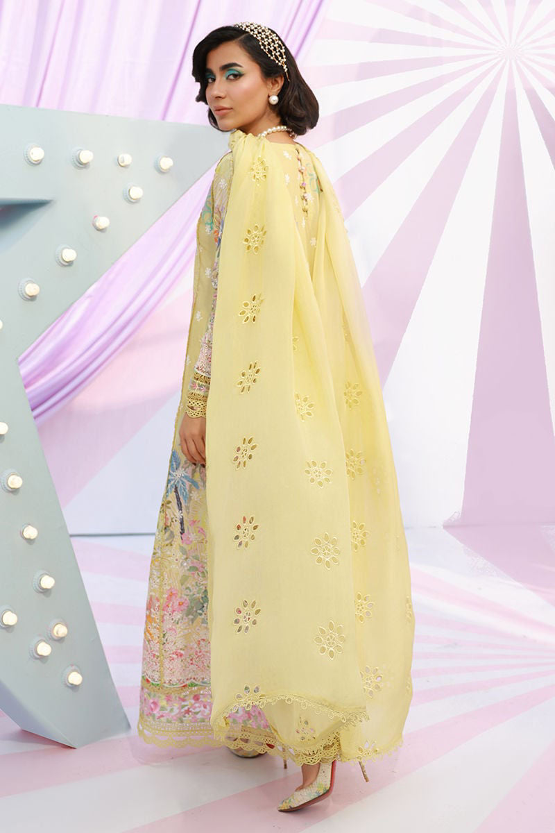 Wonder | Ansab Jahangir