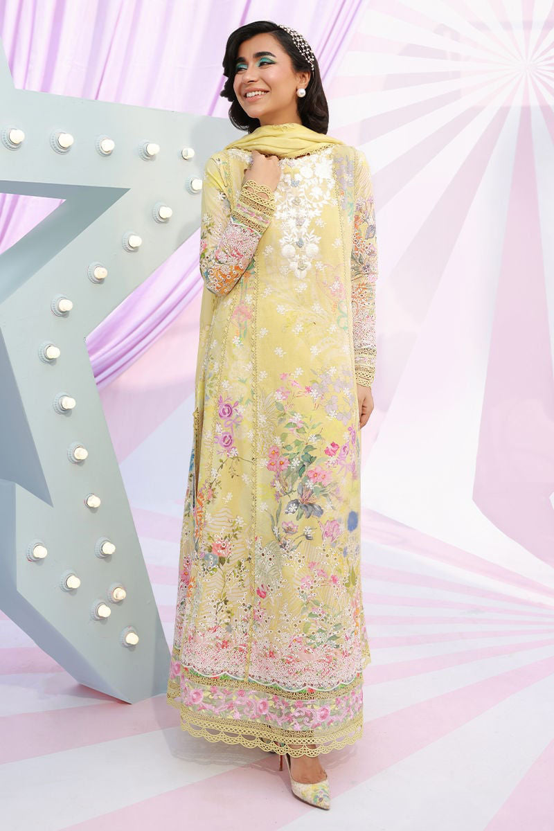 Wonder | Ansab Jahangir