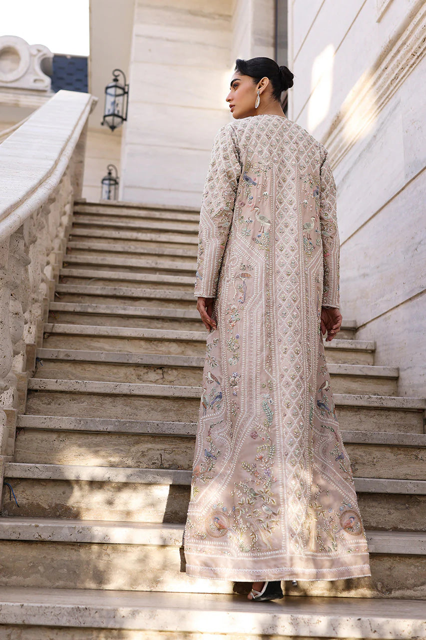 NEHA | Lulua | Nida Azwer