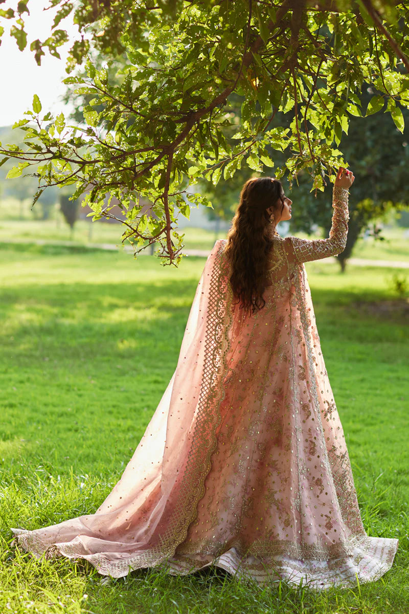 SH-08 SAIRA | LUXURY FORMALS | QALAMKAR