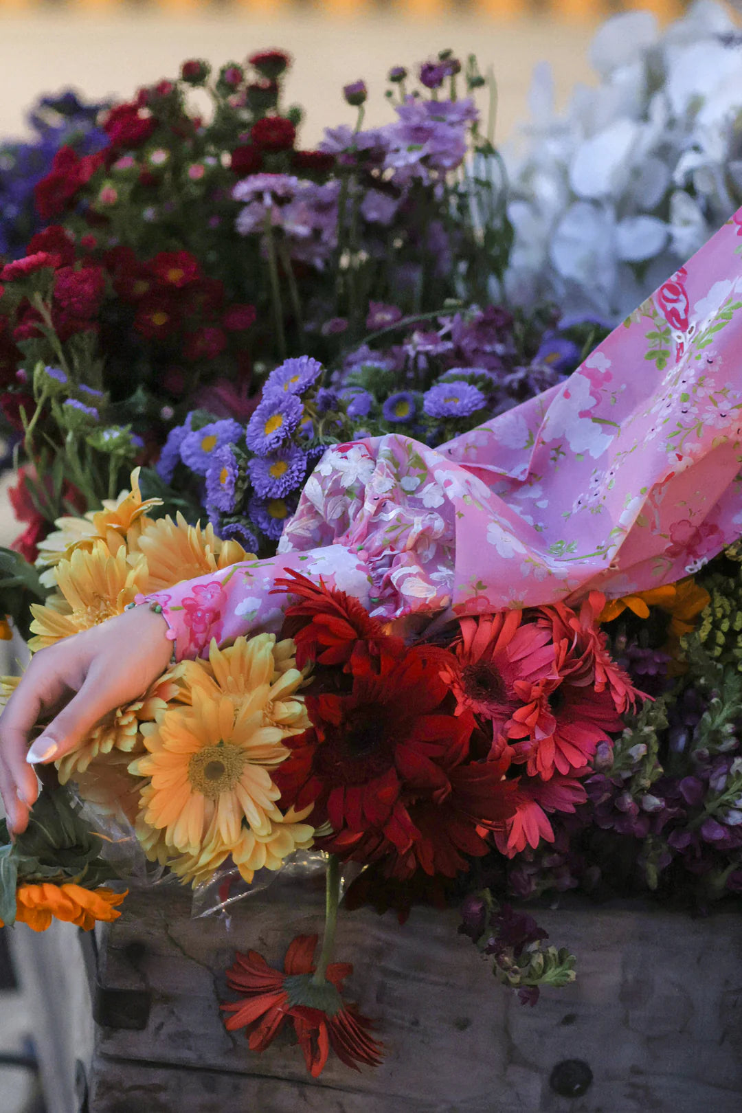 PEONY REVERIE (ZF26-03) | Zaha Festive Lawn’26 | Wildflower