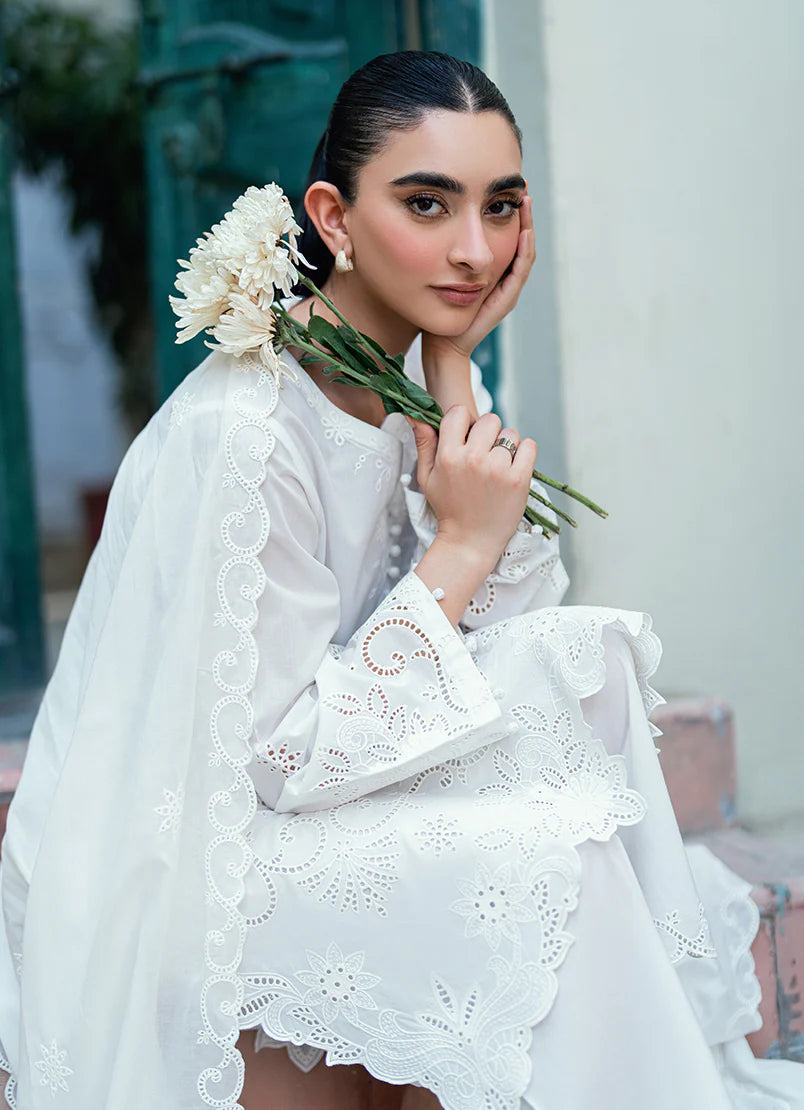15571/401/101 | IMAGE