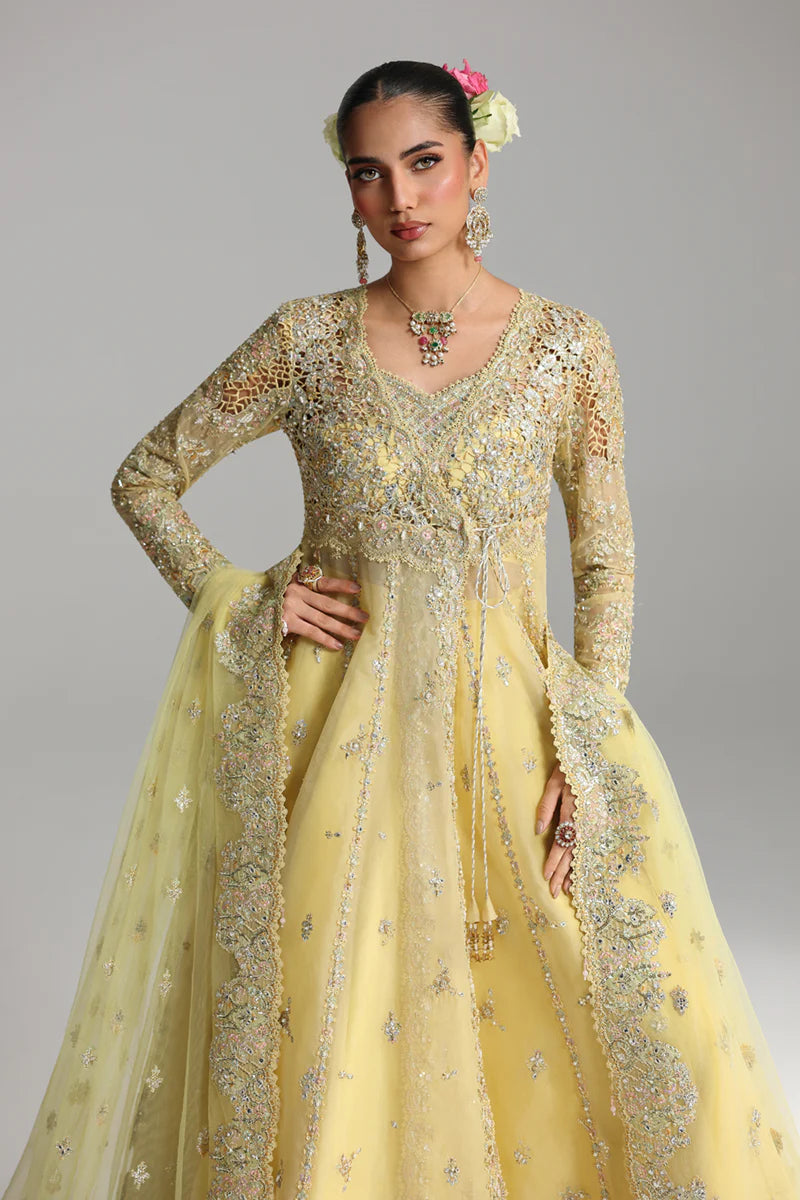 RH-06 HOOR | Shadmaani | Qalamkar