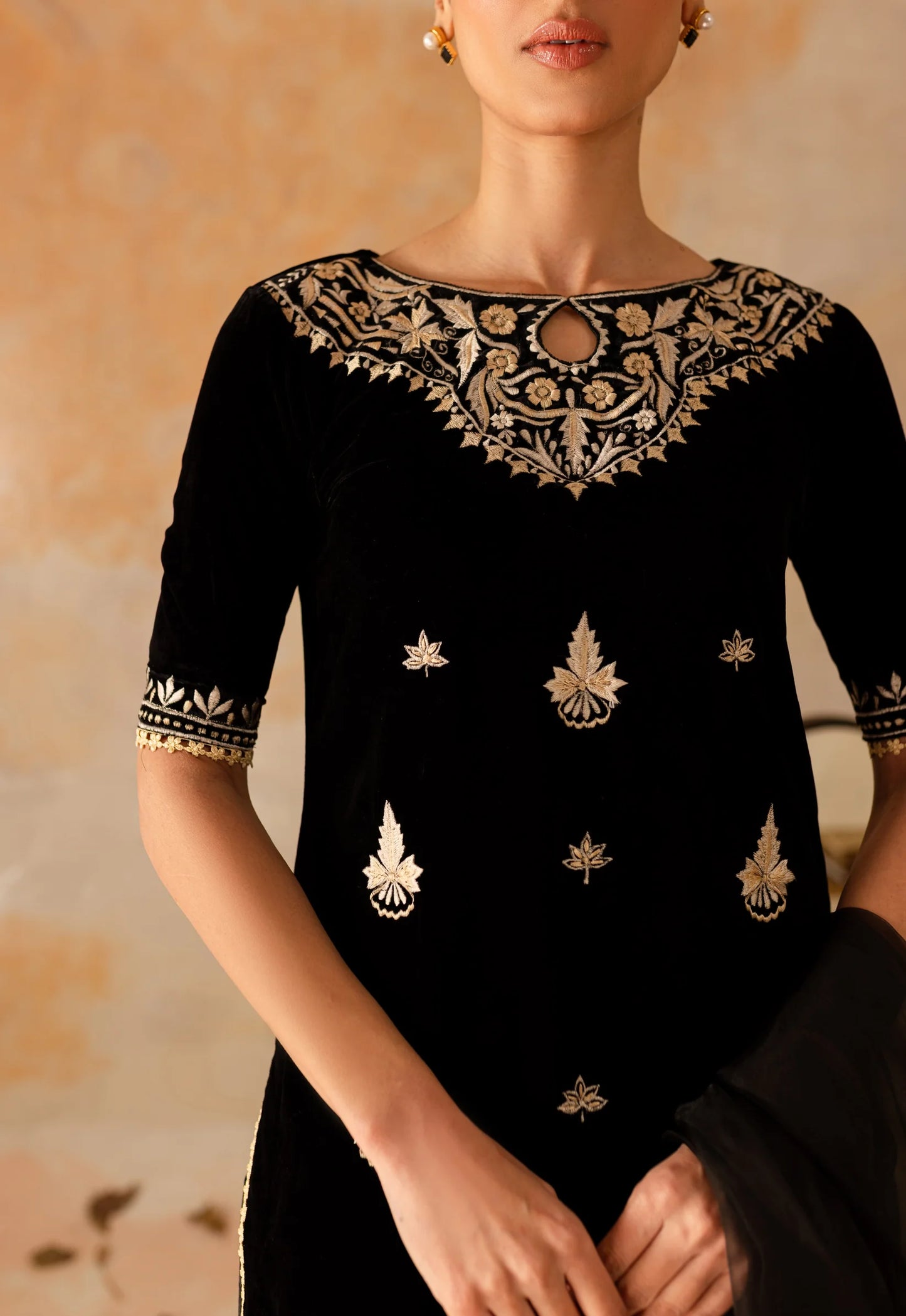Chandni | Shanzay Anooshay