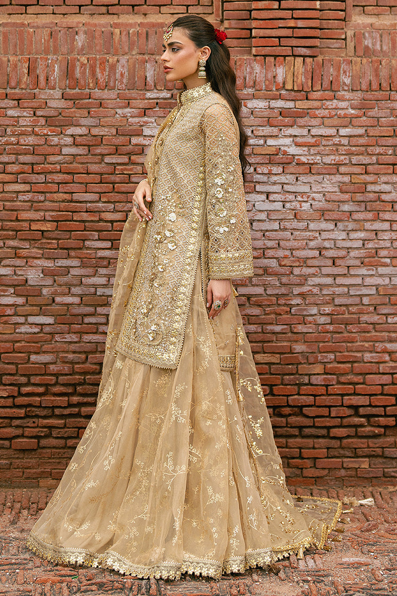 ROSHNI | Mohsin Naveed Ranjha