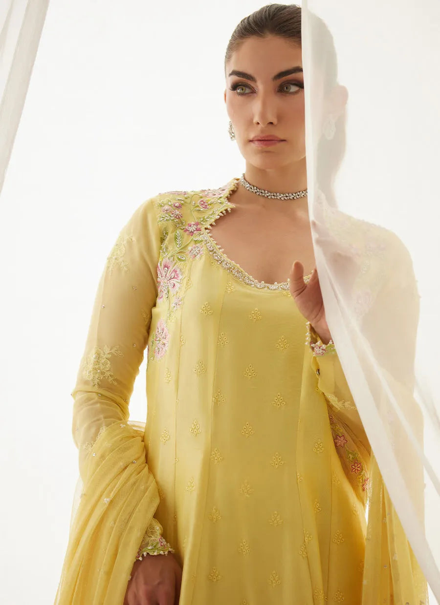 Vernie Kalidaar And Dupatta | LUXE PRET' 25 | FARAH TALIB AZIZ