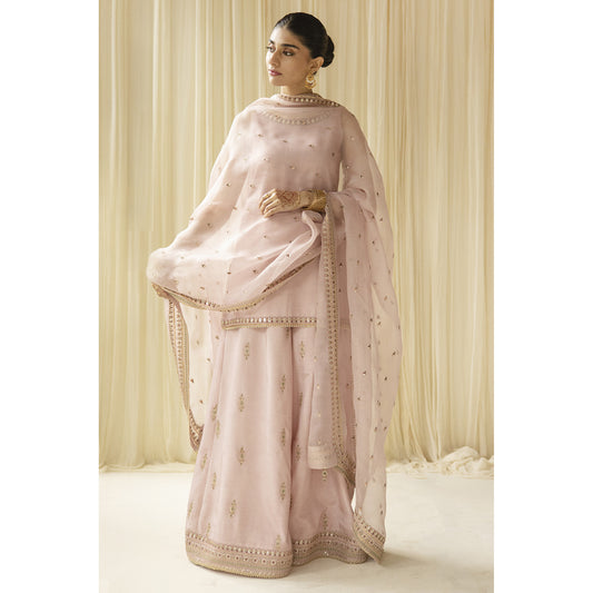 PINK OUTFIT | EID' 23 | DYOT