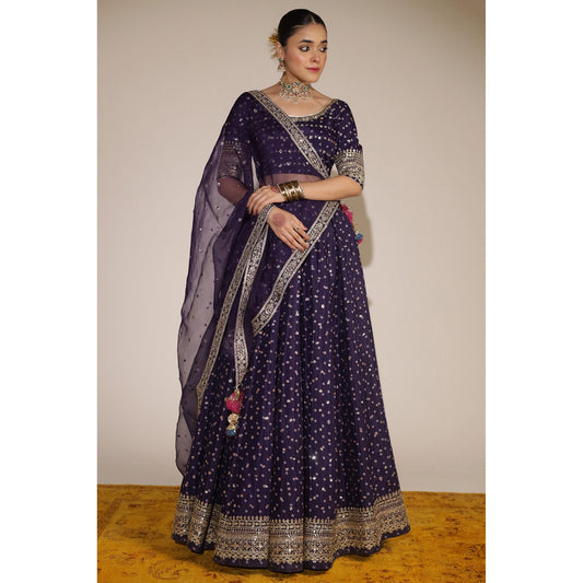 PURPLE LEHNGA CHOLI | SHEESHAM 24 / 25 DYOT