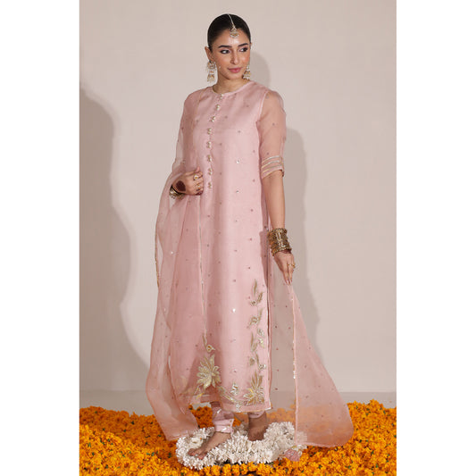 Blush Pink Outfit | Champa' 24 | DYOT