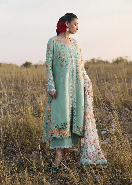 Talia | Jinan '26 | HUSSAIN REHAR