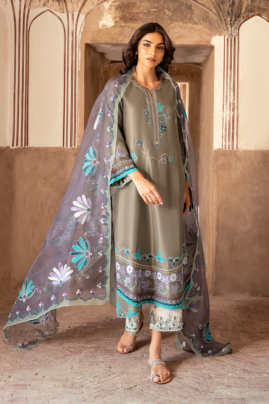 NISA | Shazia Rauf Khan