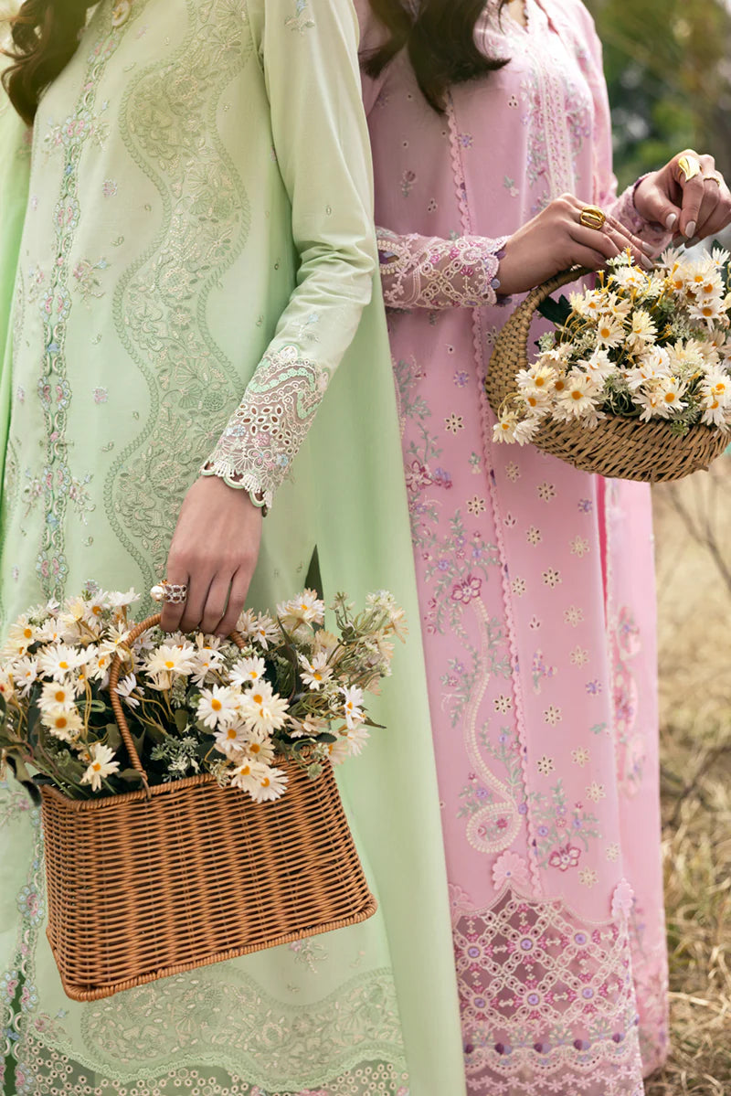 DC-02 FREJA | Qline by Qalamkar Lawn 2025