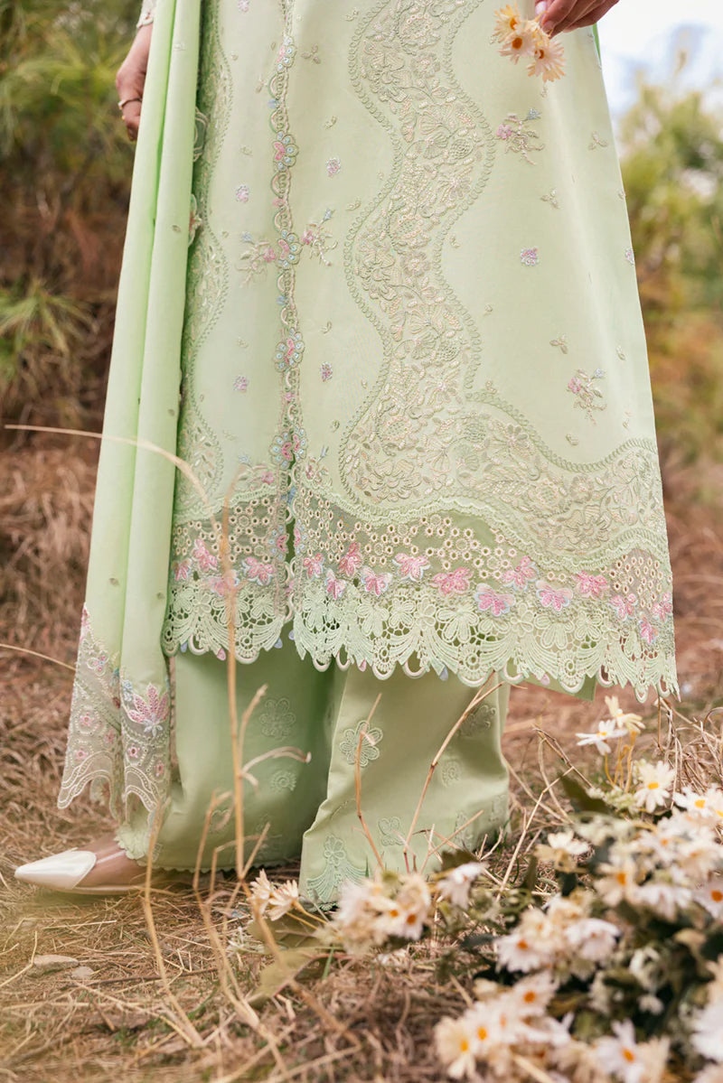 DC-14 MELINE | Qline by Qalamkar Lawn 2025
