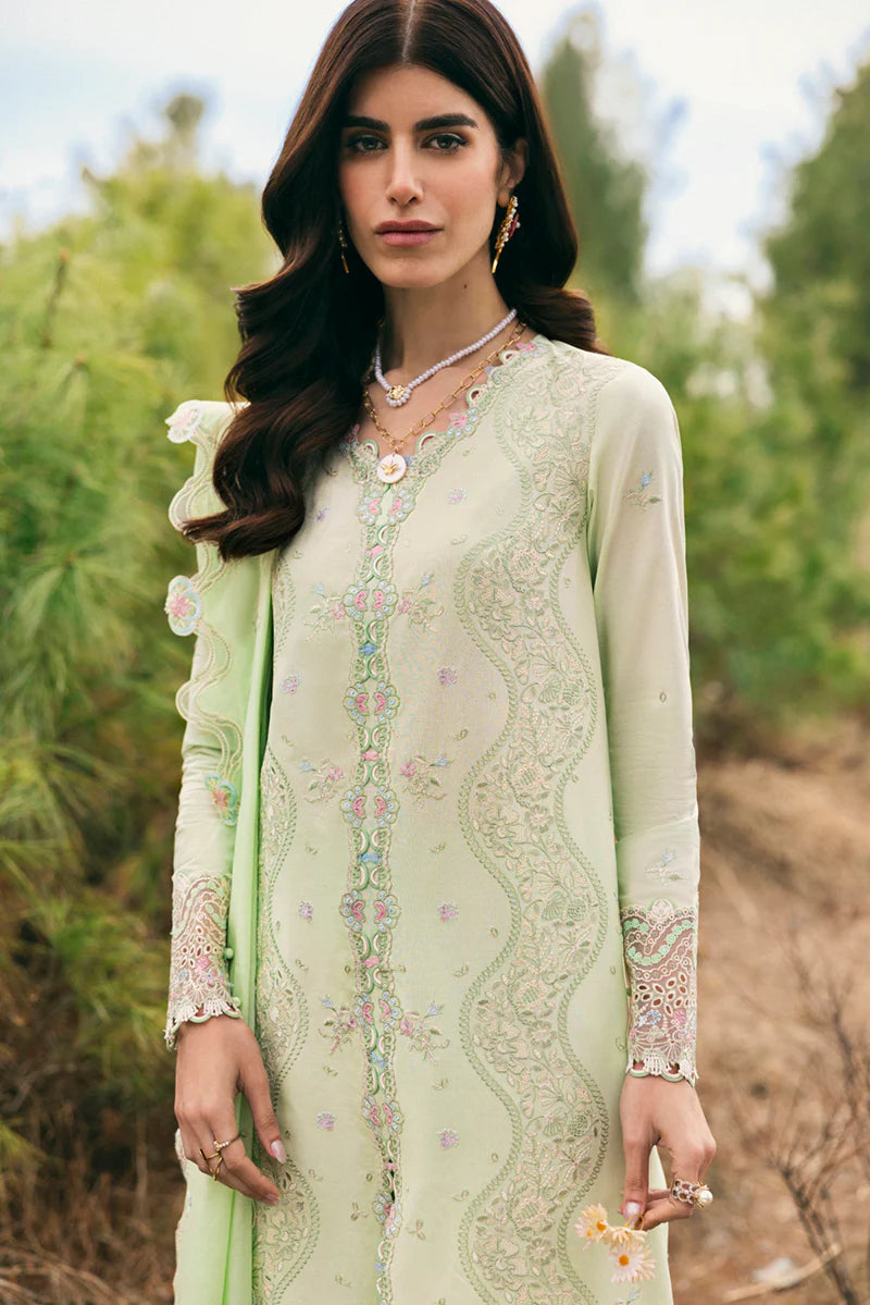 DC-14 MELINE | Qline by Qalamkar Lawn 2025