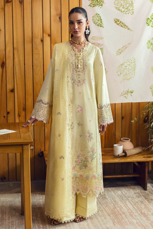 DC-04 KEVA | Qline by Qalamkar Lawn 2025