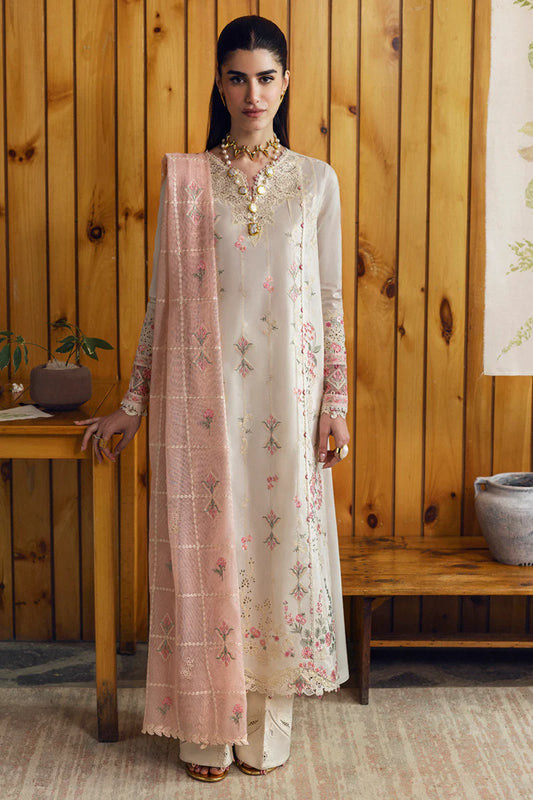 DC-07 TYRAH | Qline by Qalamkar Lawn 2025