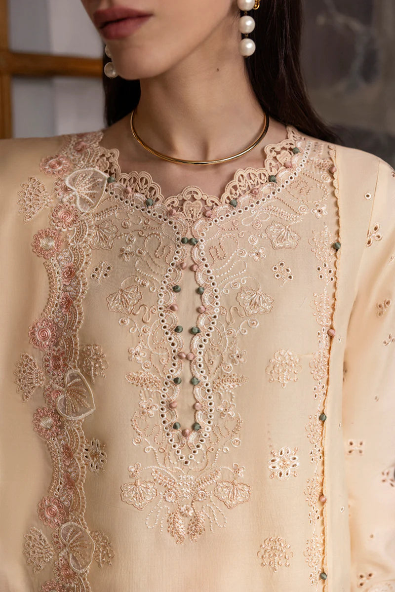 DC-12 DISA | Qline by Qalamkar Lawn 2025