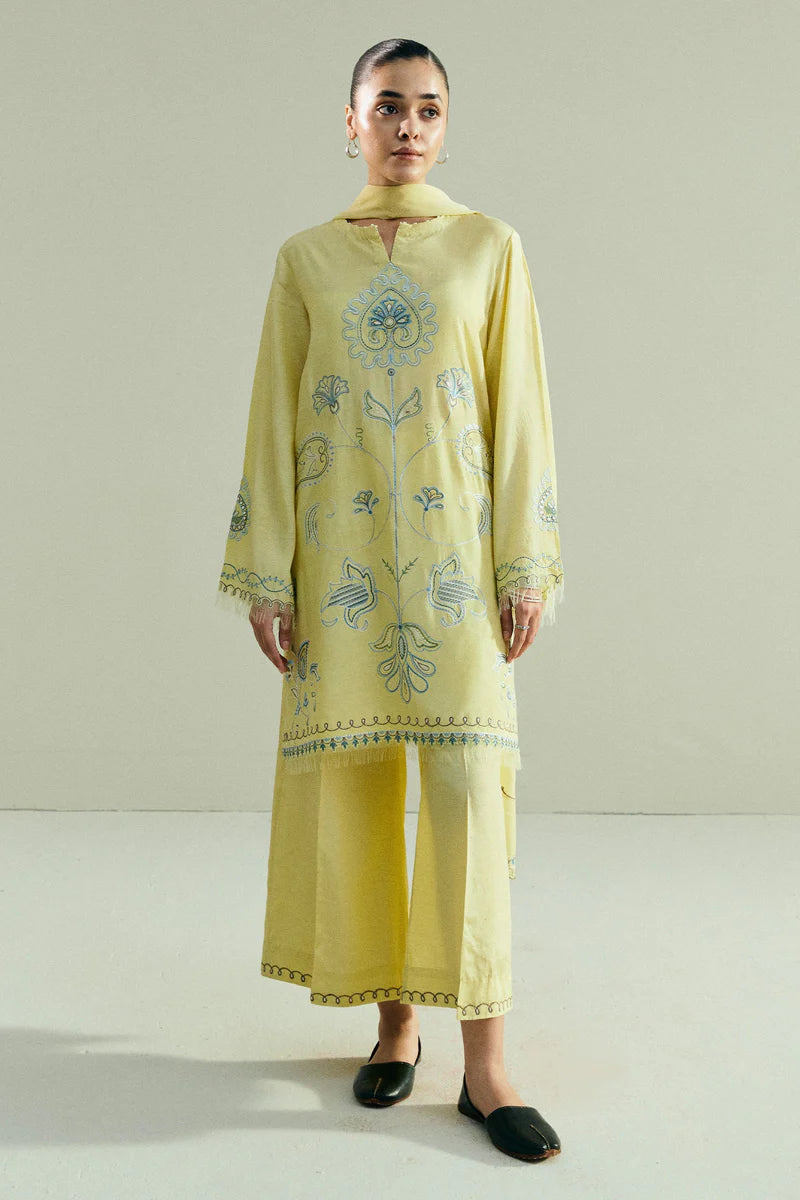CR25P0963 | PRET A/W 2025 | Zara Shahjahan