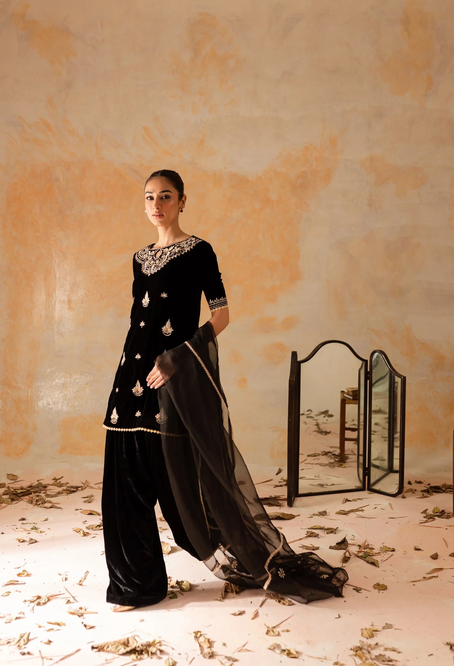 Chandni | Shanzay Anooshay