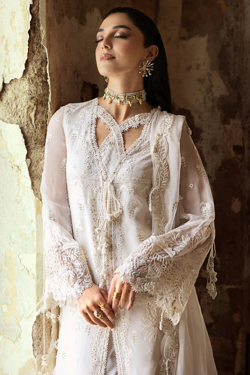 WC-03 ROISE | CHIFFONS '25 | QALAMKAR