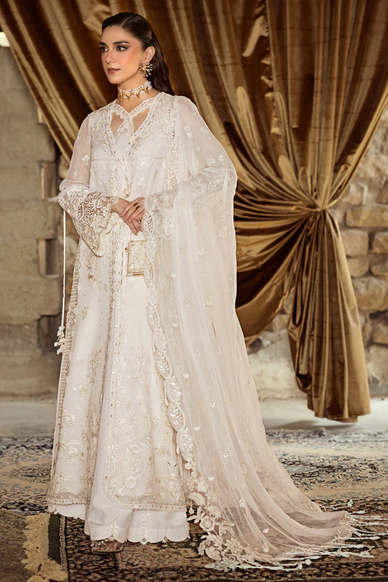WC-03 ROISE | CHIFFONS '25 | QALAMKAR