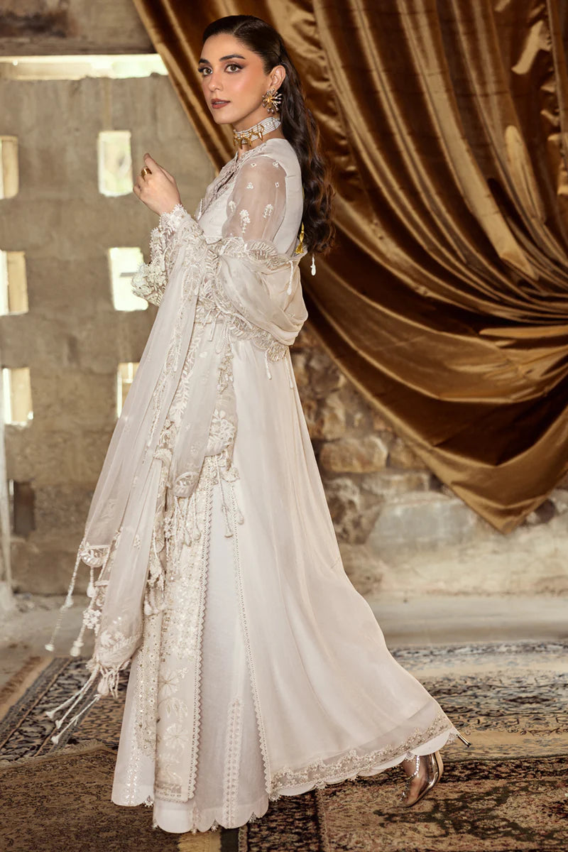 WC-03 ROISE | CHIFFONS '25 | QALAMKAR