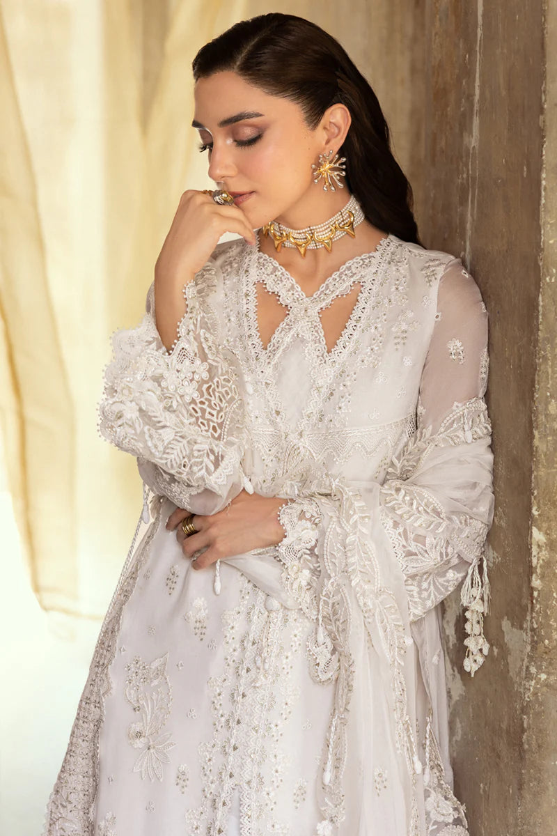 WC-03 ROISE | CHIFFONS '25 | QALAMKAR