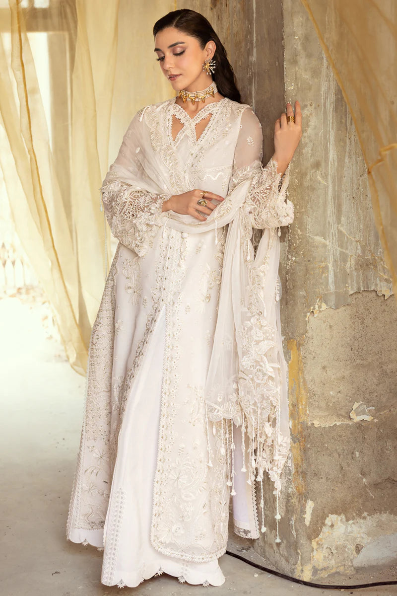 WC-03 ROISE | CHIFFONS '25 | QALAMKAR