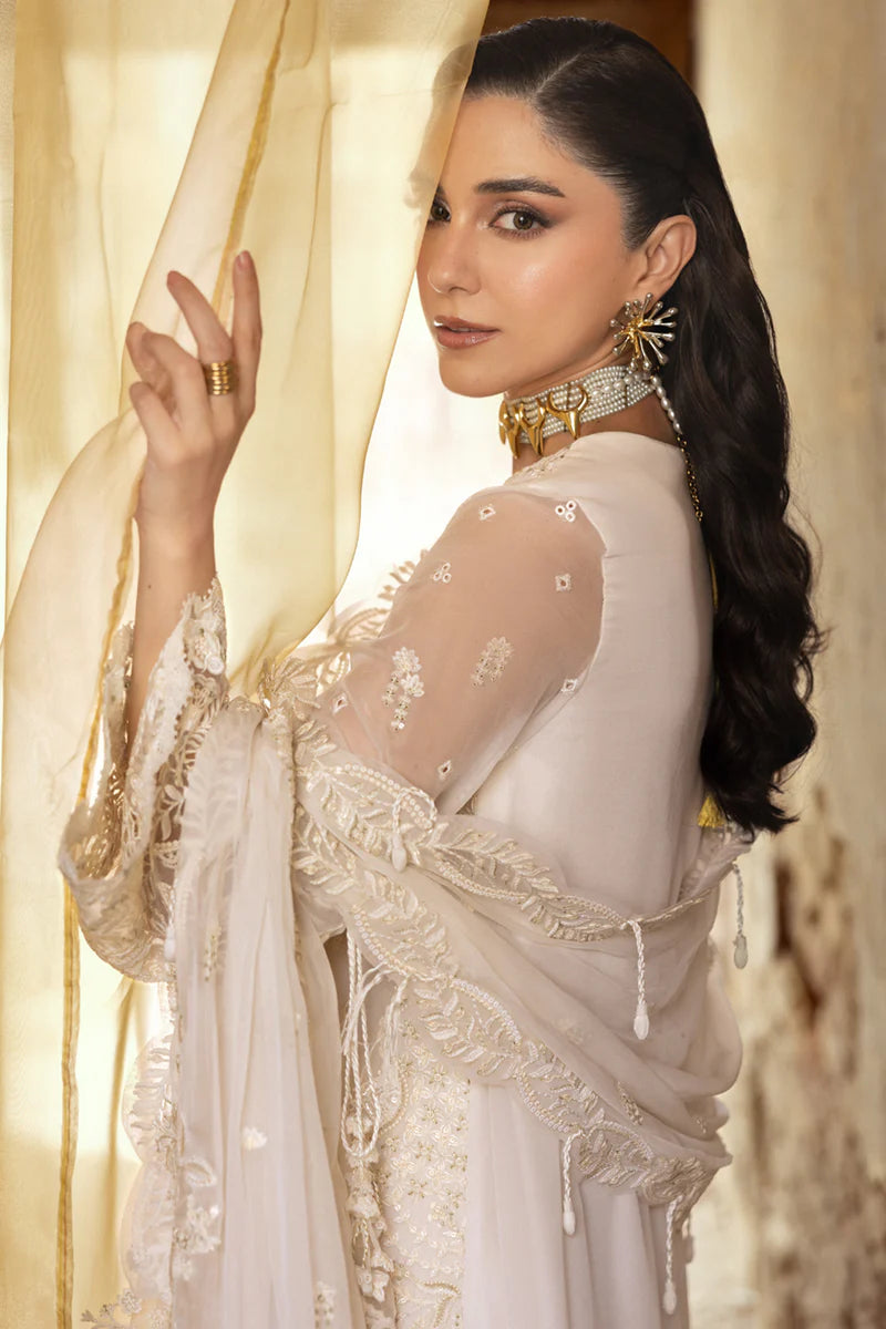 WC-03 ROISE | CHIFFONS '25 | QALAMKAR