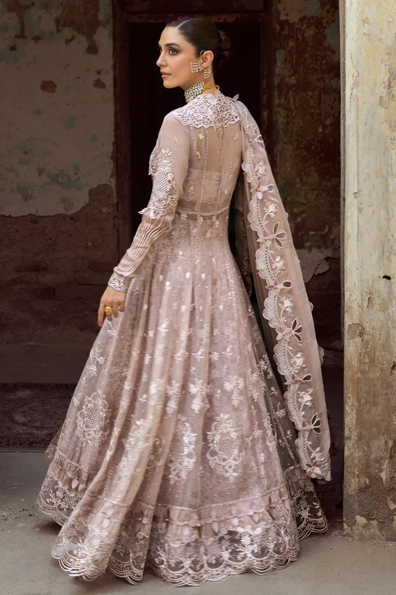 WC-01 AISLA | CHIFFONS '25 | QALAMKAR